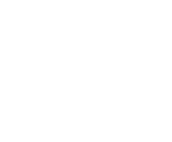 WF GP FedNet